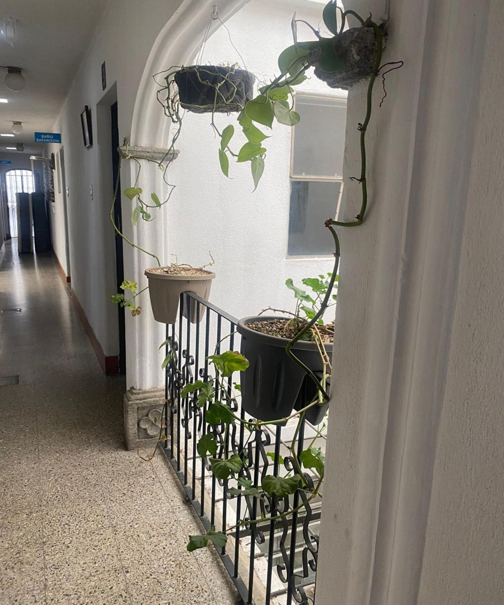 Casa Lajas Apartment